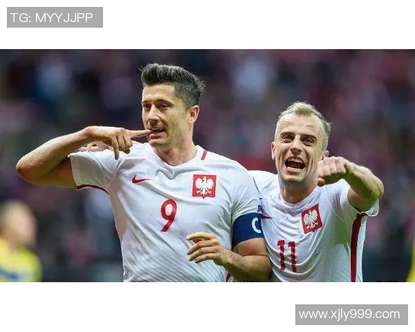 波兰与立陶宛足球比赛现场直播全程回顾与精彩瞬间分享