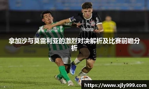 雷竞技raybet官网